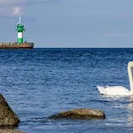 Prázdninový dům Duenenpark 15 - Dorf 6 Lübeck
